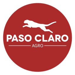 Paso Claro